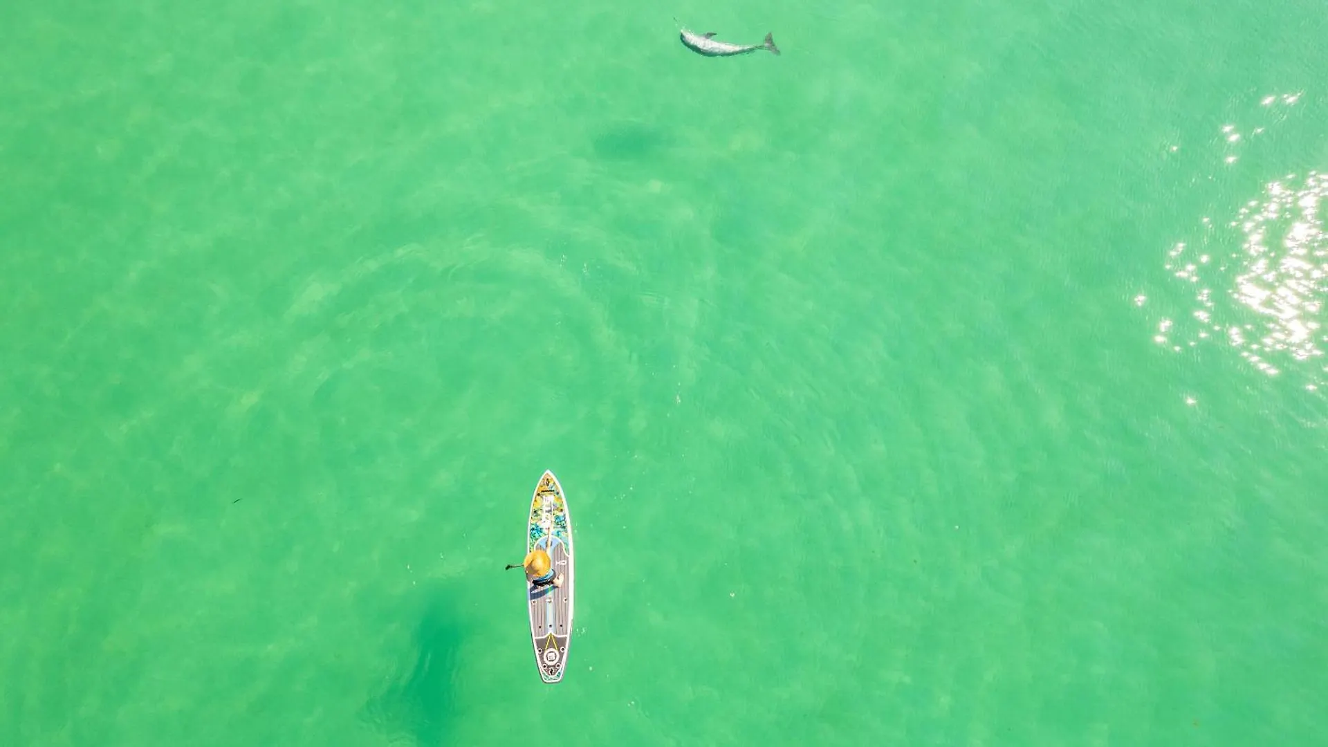Apartment Sterling Sands 306- By Holiday Isle Properties Destin United States