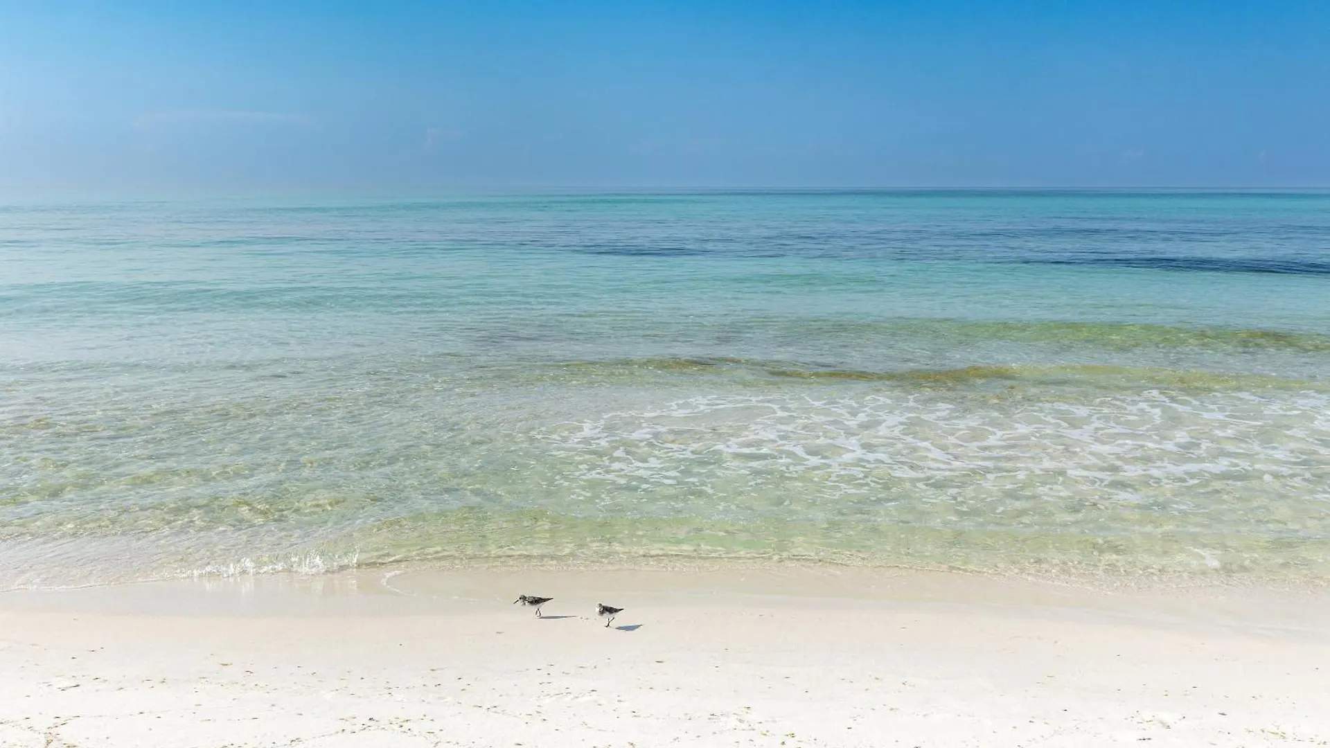 Sterling Sands 306- By Holiday Isle Properties Destin